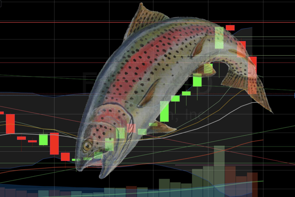trading strategy: stock chart with fish